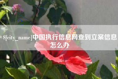 武义县中国执行信息网查到立案信息怎么办