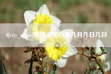 武义县我国消防日是几月几日几日