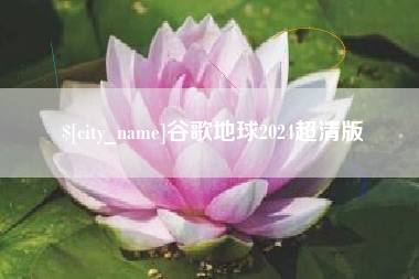 武义县谷歌地球2024超清版