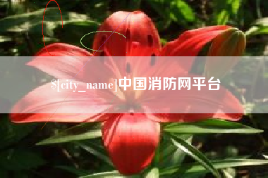 武义县中国消防网平台