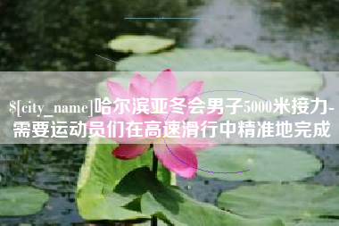 武义县哈尔滨亚冬会男子5000米接力-需要运动员们在高速滑行中精准地完成