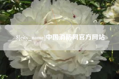 武义县中国消防网官方网站