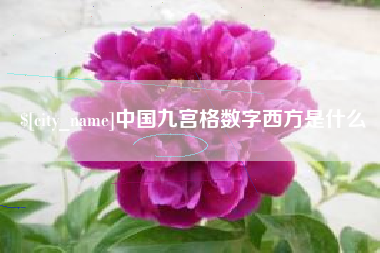 武义县中国九宫格数字西方是什么