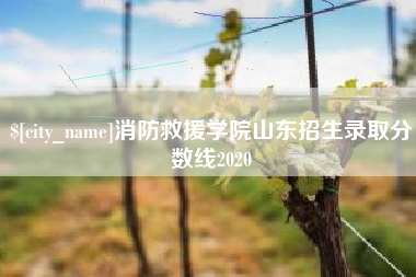 武义县消防救援学院山东招生录取分数线2020