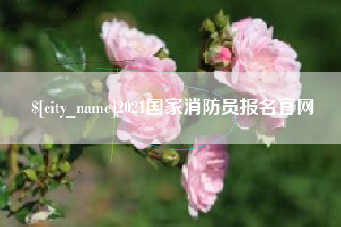 武义县2021国家消防员报名官网