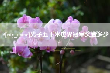 武义县男子五千米世界冠军奖金多少