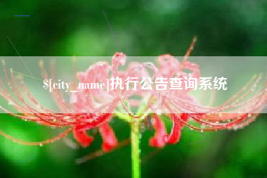 武义县执行公告查询系统