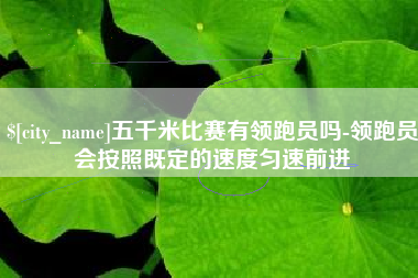 武义县五千米比赛有领跑员吗-领跑员会按照既定的速度匀速前进