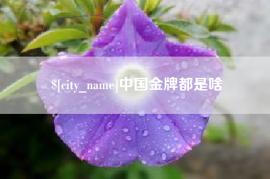 武义县中国金牌都是啥