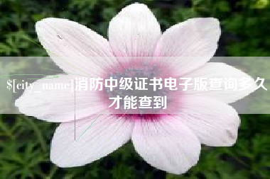 武义县消防中级证书电子版查询多久才能查到