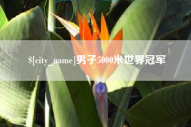 武义县男子5000米世界冠军