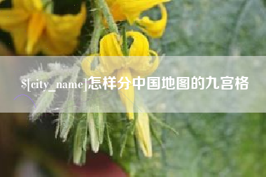 武义县怎样分中国地图的九宫格