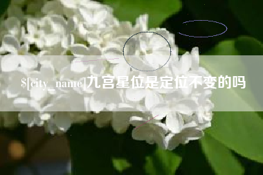 武义县九宫星位是定位不变的吗