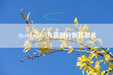 武义县九宫图分割线图片