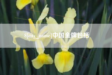 武义县中国金牌包括