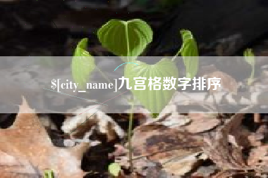 武义县九宫格数字排序