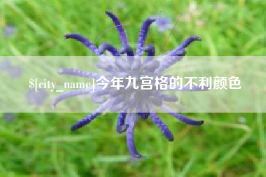 武义县今年九宫格的不利颜色