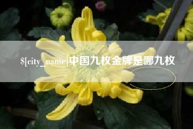 武义县中国九枚金牌是哪九枚