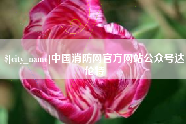 武义县中国消防网官方网站公众号达伦特