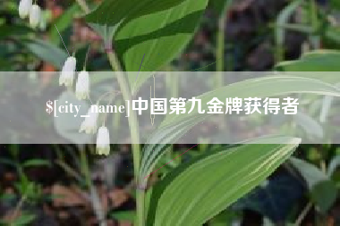 武义县中国第九金牌获得者