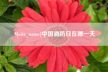 武义县中国消防日在哪一天