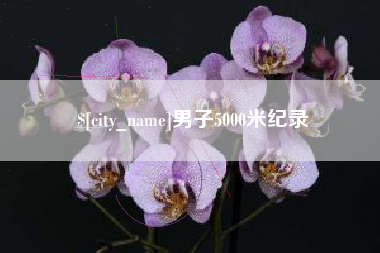 武义县男子5000米纪录