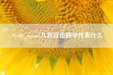 武义县九宫宫位数字代表什么