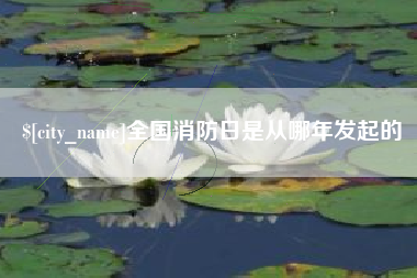 武义县全国消防日是从哪年发起的