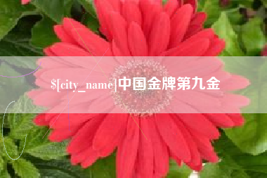 武义县中国金牌第九金