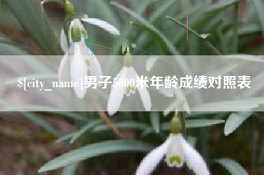 武义县男子5000米年龄成绩对照表