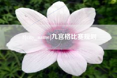 武义县九宫格比赛规则