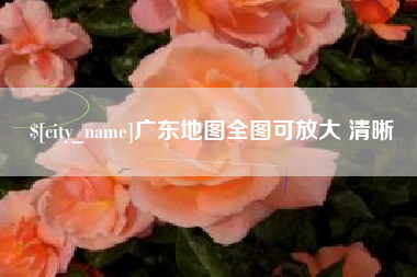 武义县广东地图全图可放大 清晰