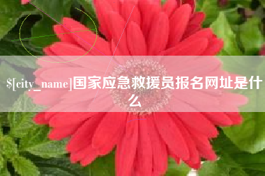 武义县国家应急救援员报名网址是什么