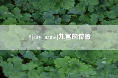 武义县九宫的位置
