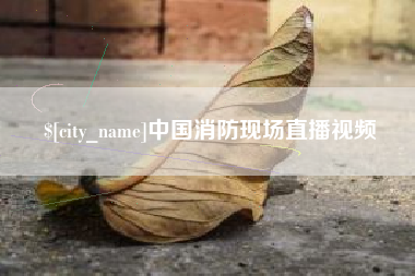 武义县中国消防现场直播视频
