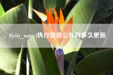 武义县执行信息公开网多久更新