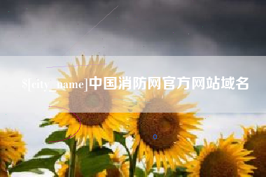 武义县中国消防网官方网站域名