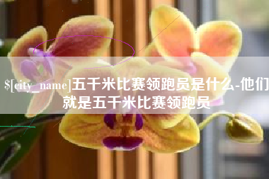武义县五千米比赛领跑员是什么-他们就是五千米比赛领跑员