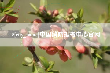 武义县中国消防报考中心官网