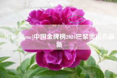 武义县中国金牌榜2024巴黎奥运会最新