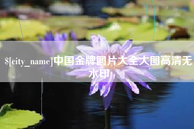 武义县中国金牌图片大全大图高清无水印