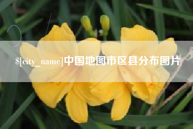 武义县中国地图市区县分布图片