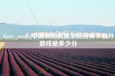 武义县中国消防救援学院河南录取分数线是多少分