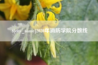 武义县2020年消防学院分数线