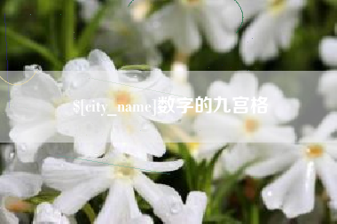 武义县数字的九宫格