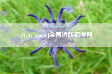 武义县全国消防招考网