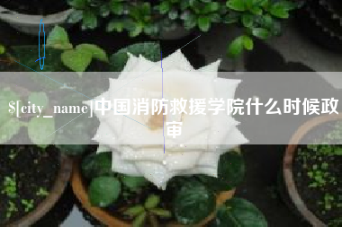 武义县中国消防救援学院什么时候政审
