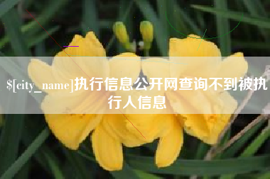 武义县执行信息公开网查询不到被执行人信息