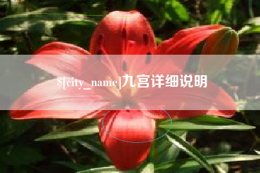 武义县九宫详细说明