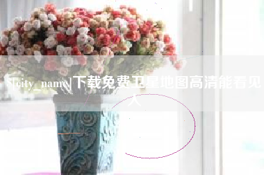 武义县下载免费卫星地图高清能看见人